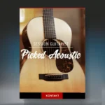 Session Guitarist Picked Acoustic