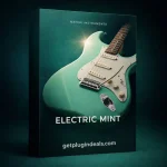 Native Instruments ELECTRIC MINT – Ultimate Funk Guitar Kontakt Library