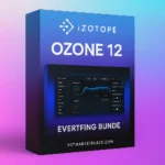 iZotope Ozone 12 mastering plugin
